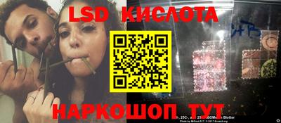 стаф Берёзовский
