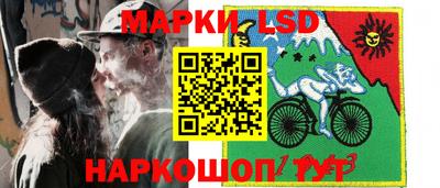 стаф Берёзовский