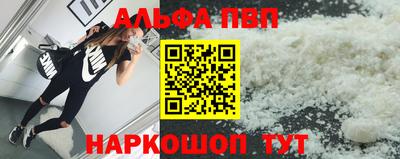 стаф Берёзовский