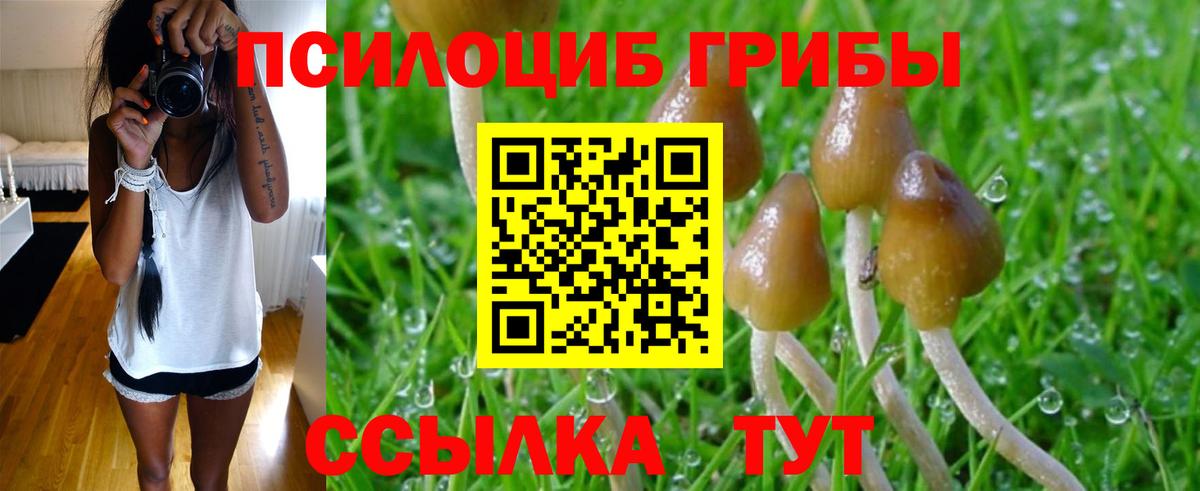 Галлюциногенные грибы Magic Shrooms  Вход с VPN  Канаш 