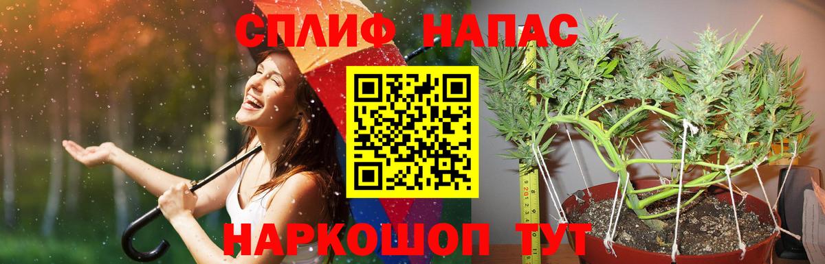 Канаш  Конопля ГИДРОПОН  Бошки Шишки THC 21%  Вход с VPN  Конопля тримм 